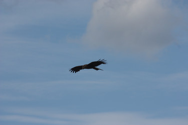 Similar image 21626746