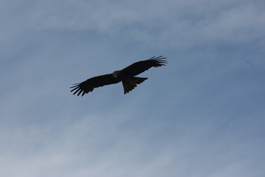 Similar image 21626747