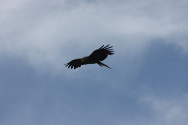 Similar image 21626748