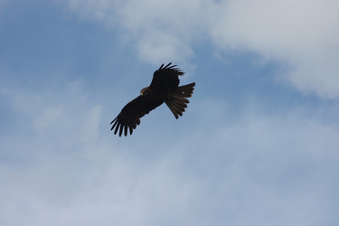 Similar image 21626749