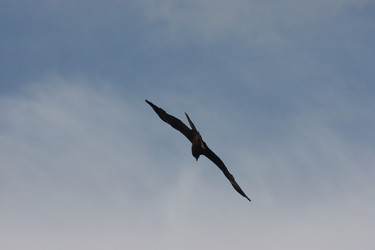 Similar image 21626751