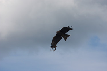 Similar image 21626752