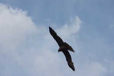 Similar image 21626753