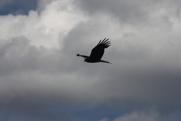 Similar image 21626754