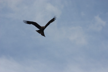 Similar image 21626755