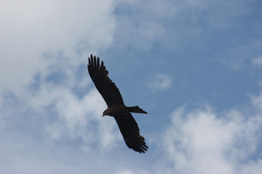 Similar image 21626756