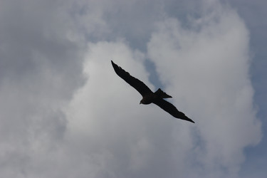 Similar image 21626757