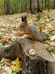 Similar image 21626488