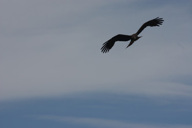 Similar image 21626758