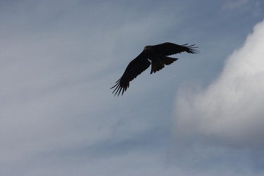 Similar image 21626760