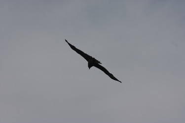 Similar image 21626761