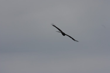 Similar image 21626762