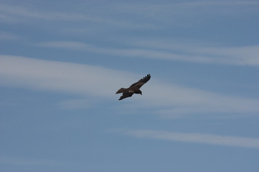 Similar image 21626763