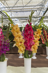 Similar image 21626613