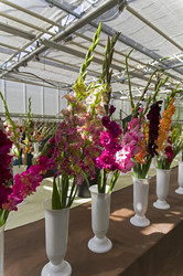 Similar image 21626614