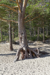 Similar image 21626628