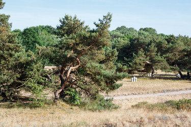 Similar image 21626052