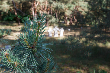 Similar image 21626054