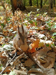 Similar image 21626492