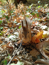 Similar image 21627771