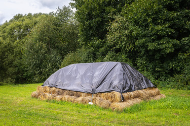 Similar image 21626065