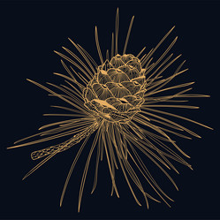 Similar image 21629360