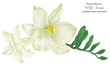 Similar image 21629475