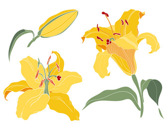 Similar image 21629485