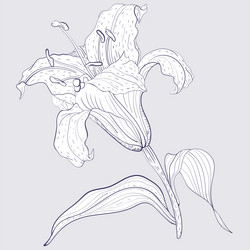 Similar image 21629488