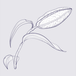 Similar image 21629490