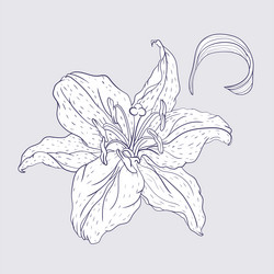 Similar image 21629493