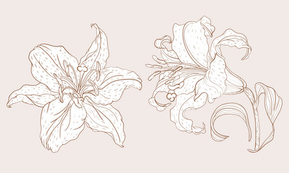 Similar image 21629495