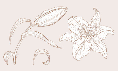 Similar image 21629498