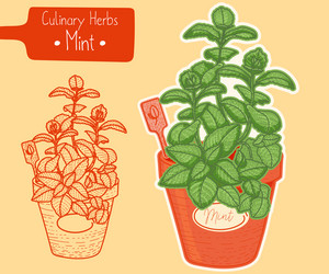 Similar image 21629513