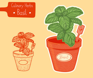 Similar image 21629519