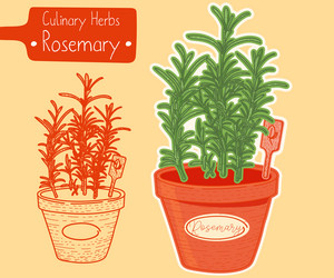 Similar image 21629400