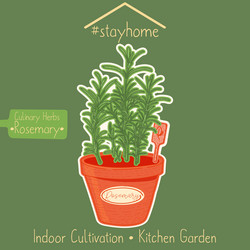 Similar image 21629402