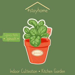 Similar image 21629409