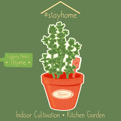 Similar image 21629417