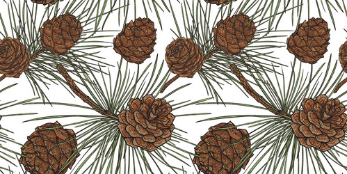 Similar image 21629531