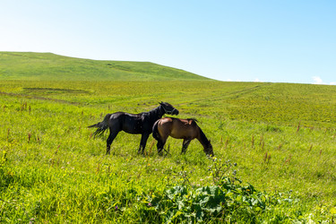 Similar image 21627782