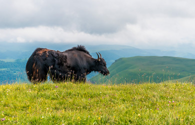 Similar image 21627783