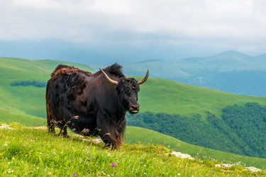 Similar image 21627785