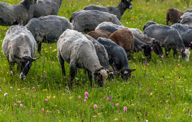 Similar image 21627787