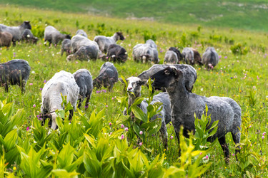 Similar image 21627788