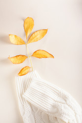 Similar image 21626109