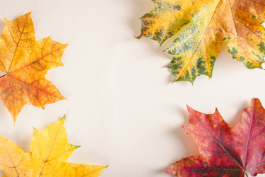 Similar image 21626111