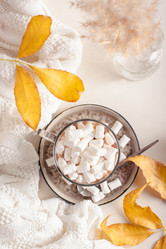 Similar image 21626112