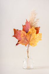 Similar image 21626113