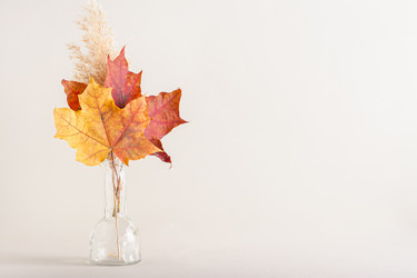 Similar image 21626114